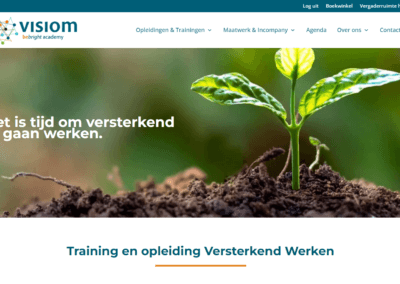 a green plant growing out of dirt