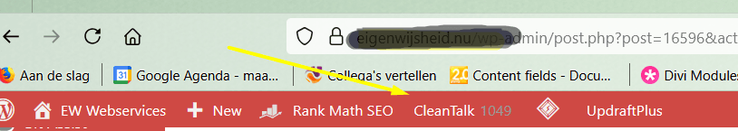 EW Webservices gebruikt en adviseert CleanTalk antispam software 1 cleantalk anti spam dashboard